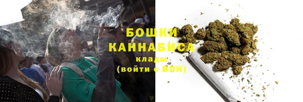 трава Арсеньев